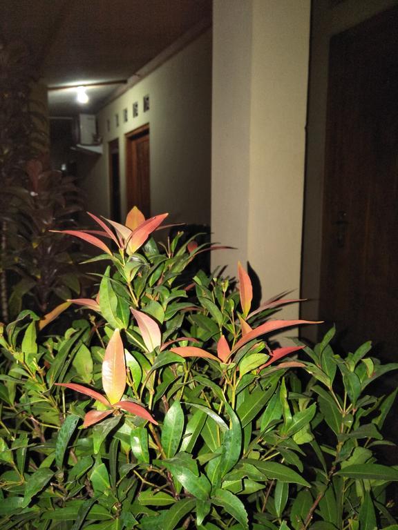 Homestay 77 Borobudur Magelang Extérieur photo